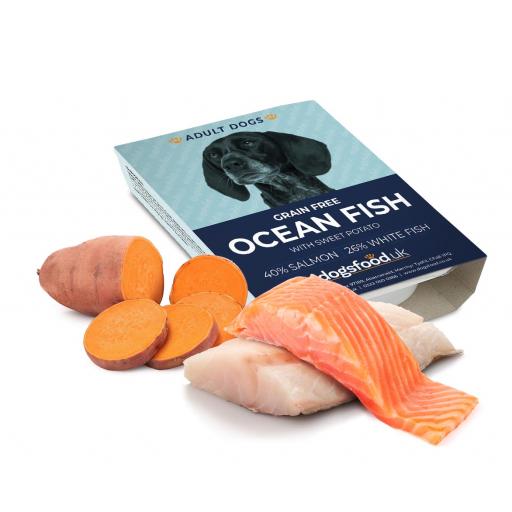 Grain Free Working Dog - Salmon & Ocean Fish Wet Trays 10 x 395g