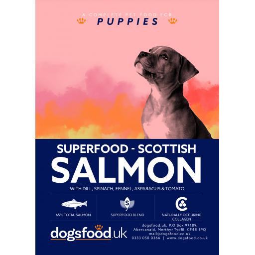 Superfood 65 Scottish Salmon Puppy
